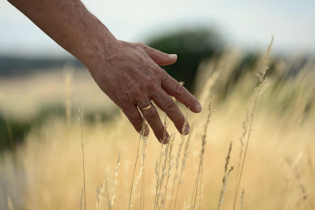 Acupuncture for somatosensory problems after strokes